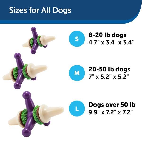 PetSafe Busy Buddy Twist 'n Treat Dispensing Dog Toy - Medium,Purple,Large  Breeds