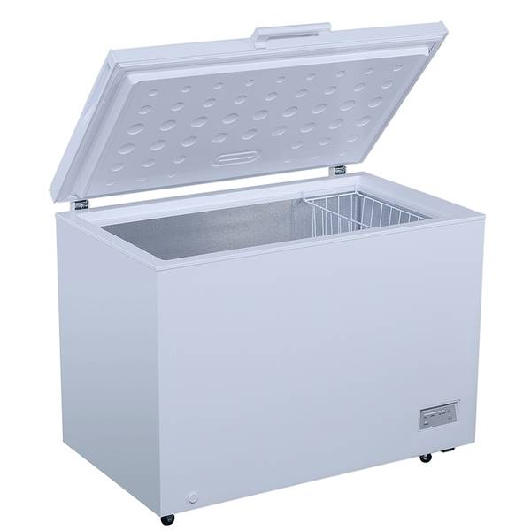 Professional Series 10.8 cu. ft. Chest Freezer - PS-FR111 | Blain's ...