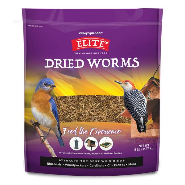Dried Mealworm Oil for Special Pet Food Oil Worm Oil - China Dried