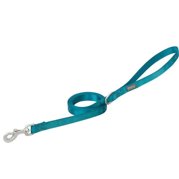 Terrain 3/4"x6' Blue Spiral Premium Patterned Dog Leash