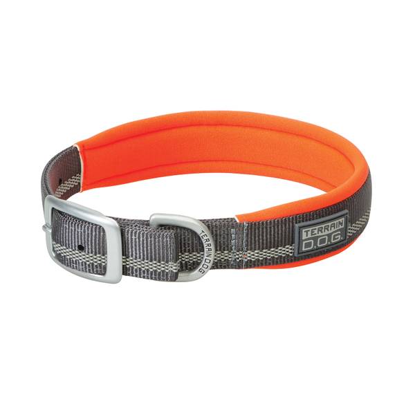 orange reflective dog collar