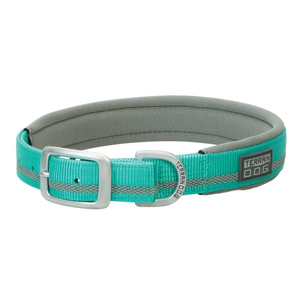 Retriever Double-Ply Reflective Dog Collar, Orange at Tractor Supply Co.