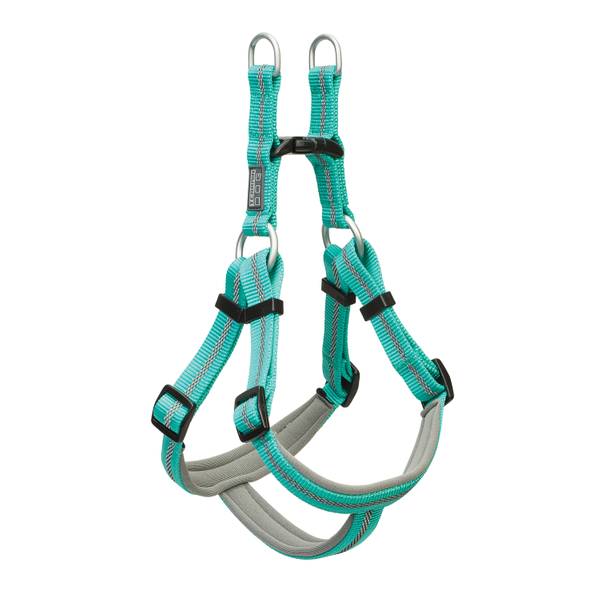 Photo of Medium Mint Reflective Neoprene Lined Dog Harness