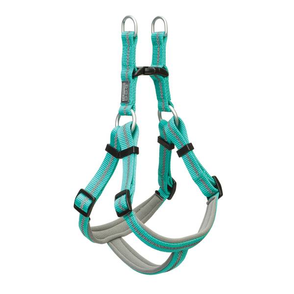 Photo of Large Mint Reflective Neoprene Lined Dog Harness