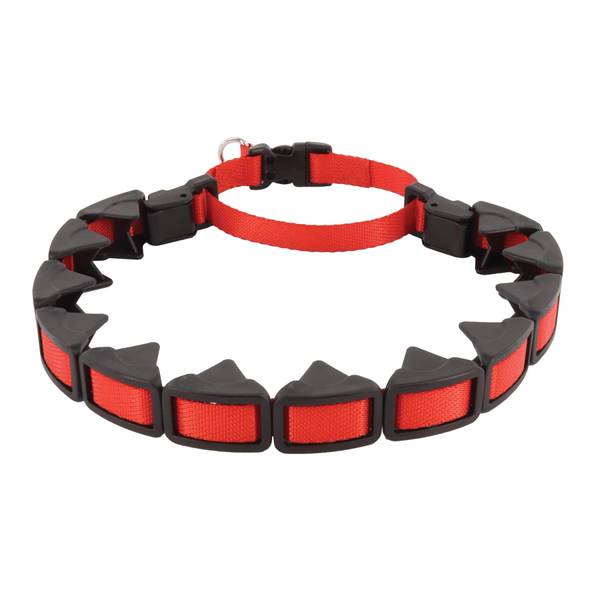 Control dog outlet collars