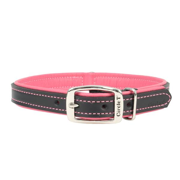 pet circle dog collars