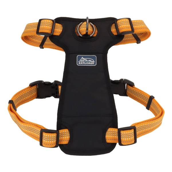 Coastal harness best sale