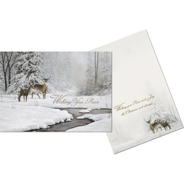 Photo of 14-Count Wishing You Peace Deluxe Glitter Christmas Cards