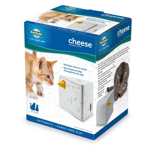 Timed cat outlet toy