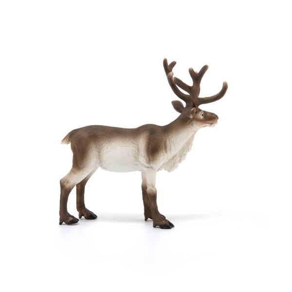Schleich 14832 14837 Dromedar Rentier Wild life dromedary reindeer new OVP 
