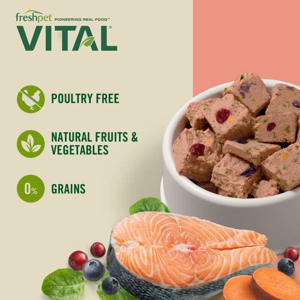 Freshpet shop vital salmon