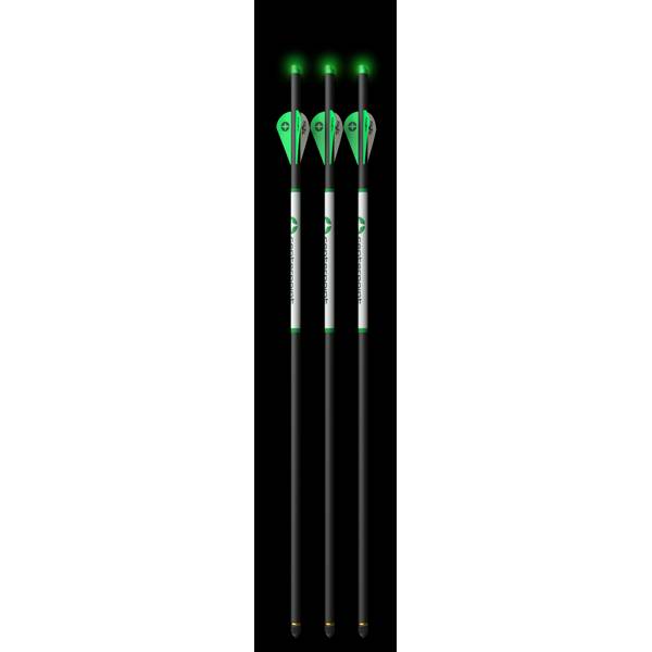 BloodSport BLDH2036 Hunter Crossbow Fishing Arrows - 3 Pack for sale online
