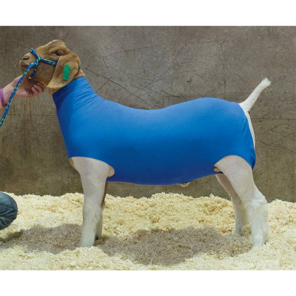 Photo of Cotton Goat Tube, LG, BL