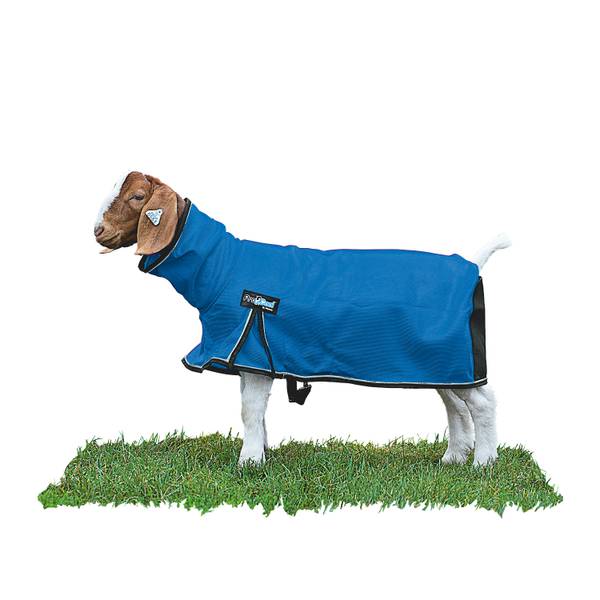 Weaver Livestock ProCool Goat Blanket with Reflective Piping 353562