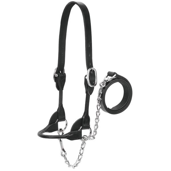 Photo of Dairy/Beef Rounded Show Halter, Black