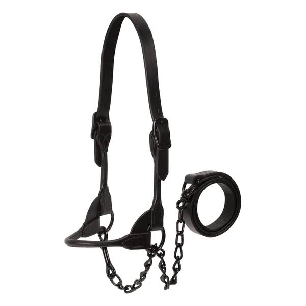 Photo of Show Halter, Black