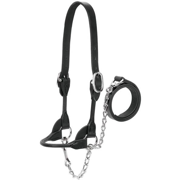 Photo of Dairy/Beef Rounded Show Halter, Black