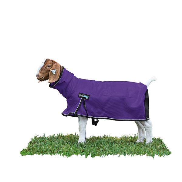 Photo of ProCool Goat Blanket with Reflective Piping, Purple