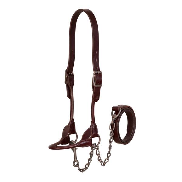 Photo of Show Halter, Brown