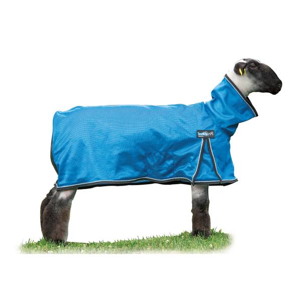 Photo of ProCool Sheep Blanket with Reflective Piping, Blue