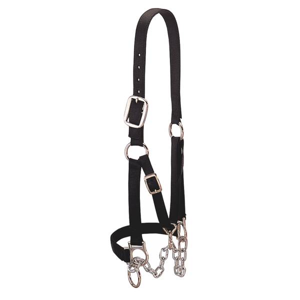 Photo of Heavy-Duty Restraint Halter