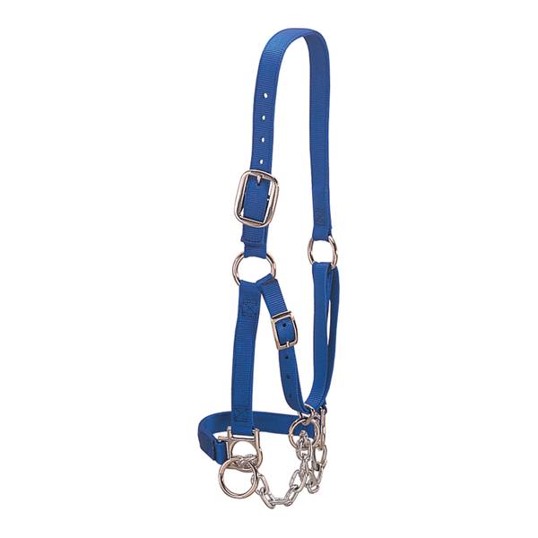 Photo of Heavy-Duty Restraint Halter, Blue