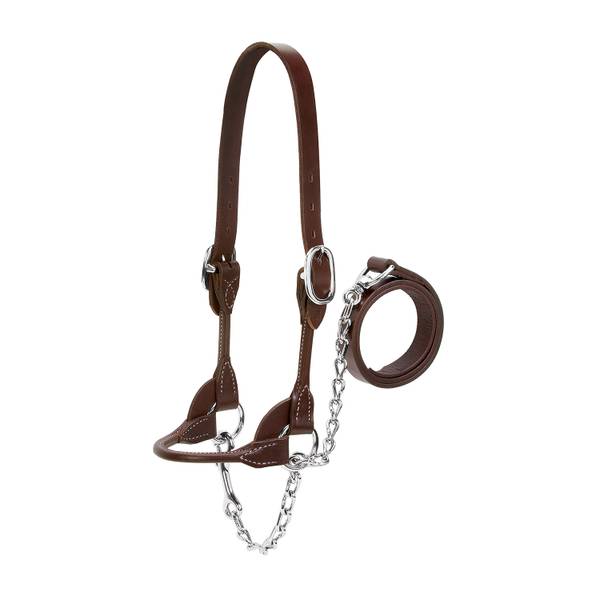 Photo of Dairy/Beef Rounded Show Halter, Brown