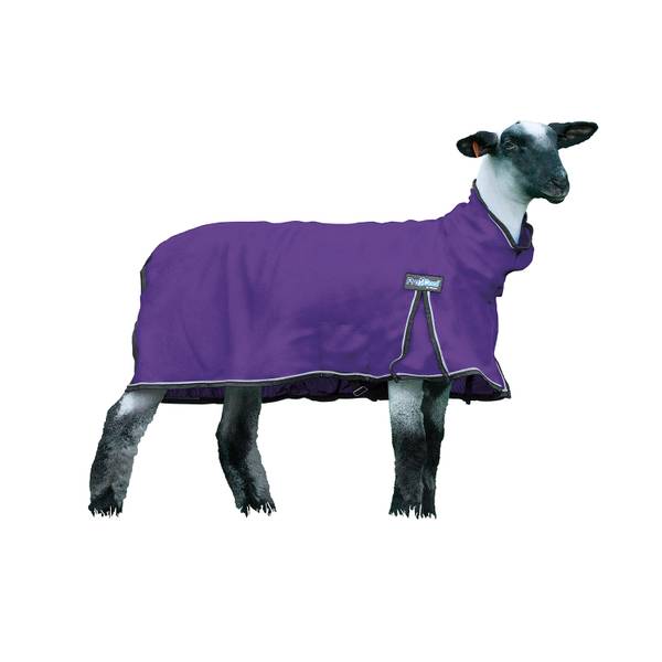 Photo of ProCool Sheep Blanket with Reflective Piping, Purple