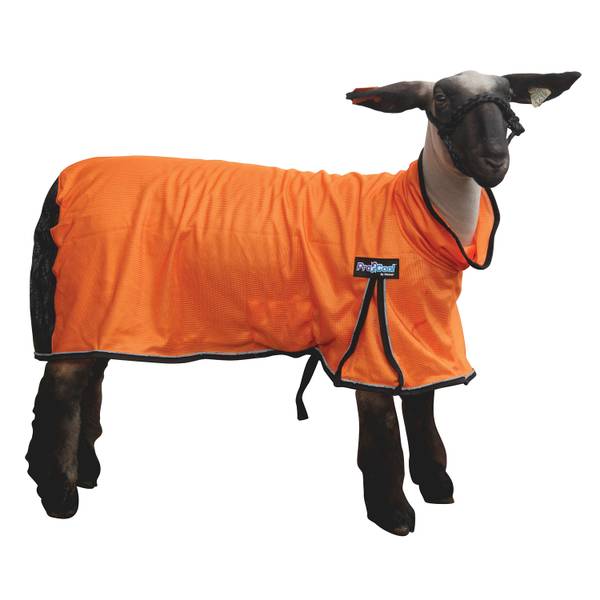 Weaver Livestock ProCool Sheep Blanket with Reflective Piping, Extra Small, Orange