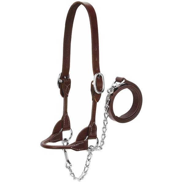 Photo of Dairy/Beef Rounded Show Halter, Brown