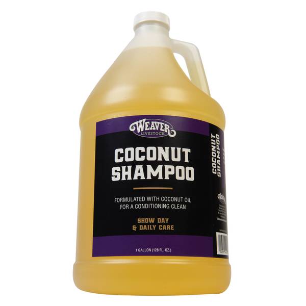 Photo of Coconut Shampoo, Gallon