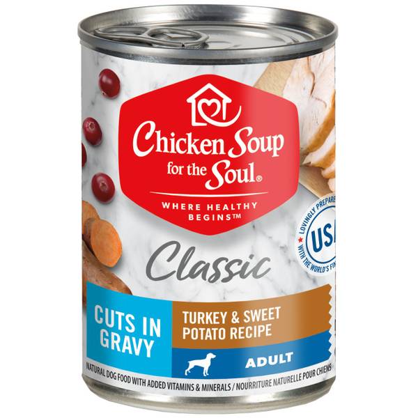 can you feed your dog chicken soup