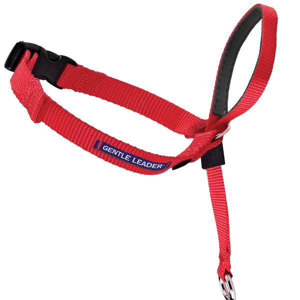 Photo of Gentle Leader Dog Headcollar