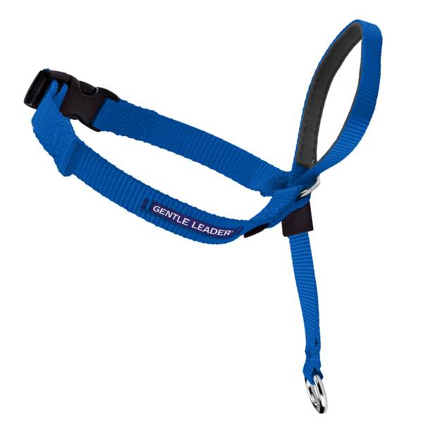 Photo of Gentle Leader Dog Headcollar