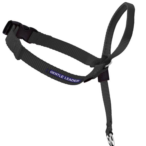 PetSafe Gentle Leader Headcollar  No-Pull Dog Collar  Medium 25-60 Lb.  Black