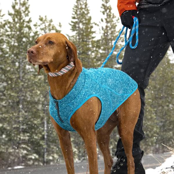 Kurgo K9 Core Pet Sweater - K81025 | Blain's Farm & Fleet