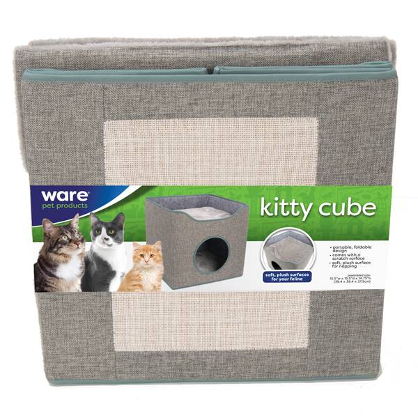 Photo of Kitty Cube