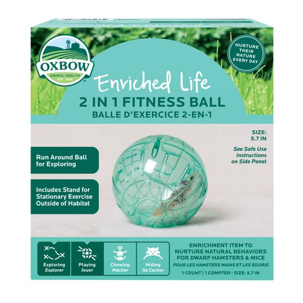 Oxbow 2-in-1 Fitness Ball