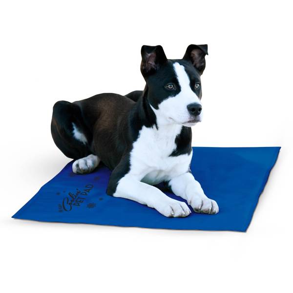 Cool pet pad sales large