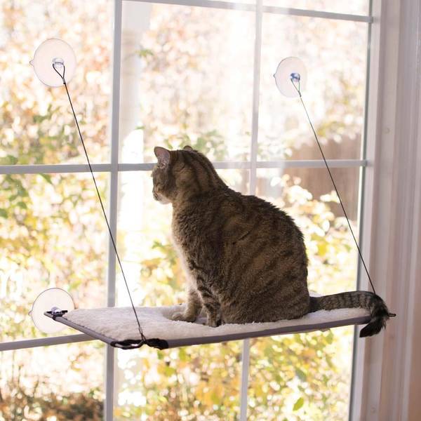 Photo of 12"x23" Window Lounger