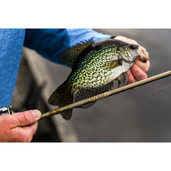St. Croix Rods 6'9 UL Fast Panfish Series Spin Rod - PNS69ULF
