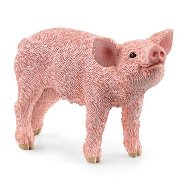 Photo of Piglet