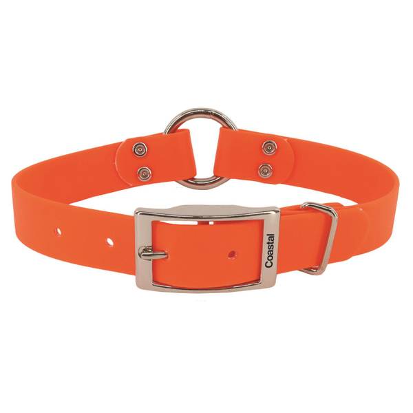 Water & Woods Waterproof Hound Dog Collar with Center Ring 1" x 24" S4905 ORG24 Blain's Farm