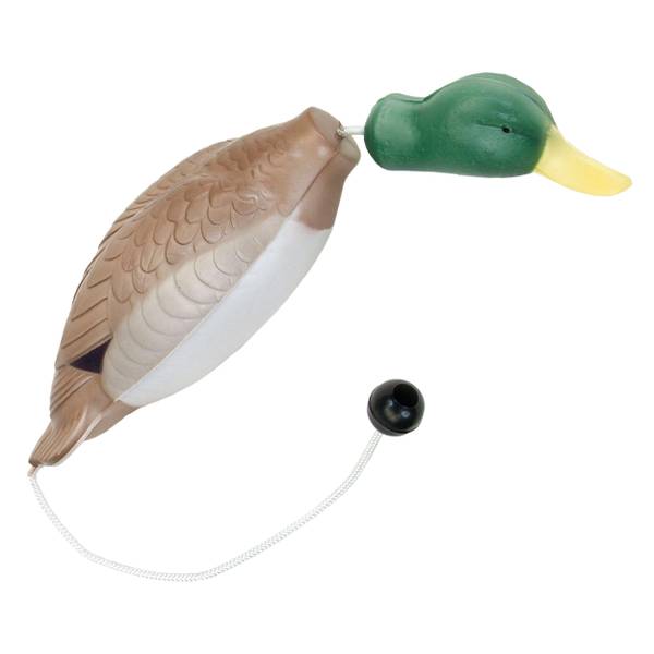Photo of Tethered-Head Foam Mallard Dog Trainer