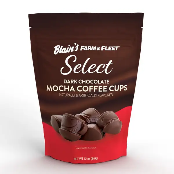 Blain's Farm & Fleet 12 oz Dark Chocolate Mocha Cups - 734364