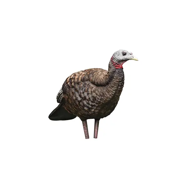 Avian-X LCD Breeder Hen Turkey Decoy - AVX-AVX8008 | Blain's Farm