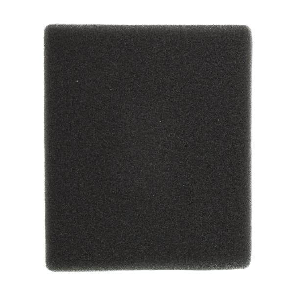 Photo of RV225 Air Filter