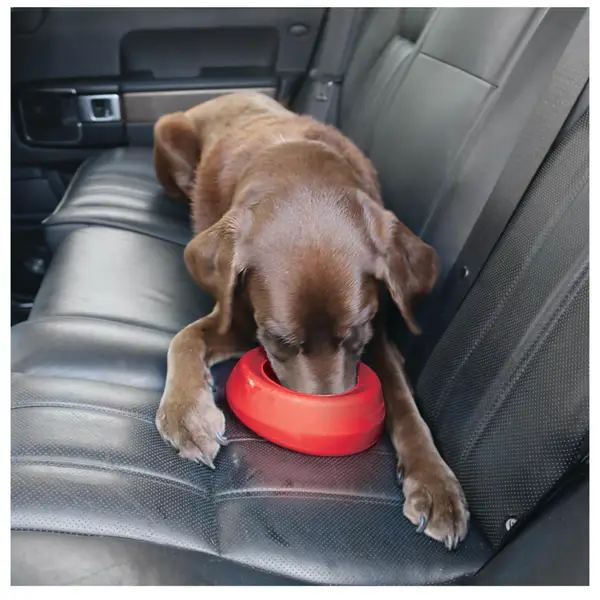 Happy Lapper - The Frozen Dog Treat Holder ~ Giveaway - The Pet