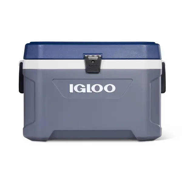  Igloo, Small 2 Pack Ice Block : Sports & Outdoors