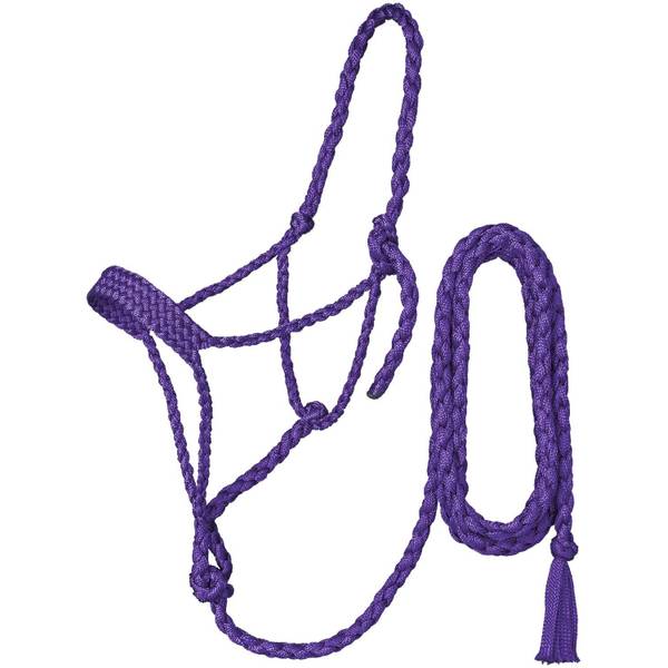 Photo of Premium Mule Tape Halter with Lead, Average Horse